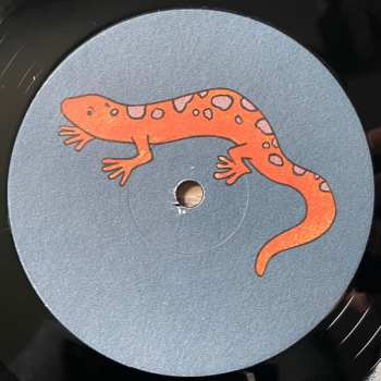 LP Summer Salt: Sequoia Moon