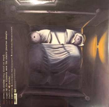 2LP Sunny Day Real Estate: Diary