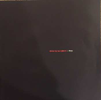 2LP Sunny Day Real Estate: Diary
