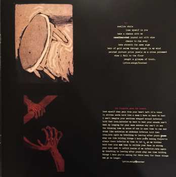 2LP Sunny Day Real Estate: Diary