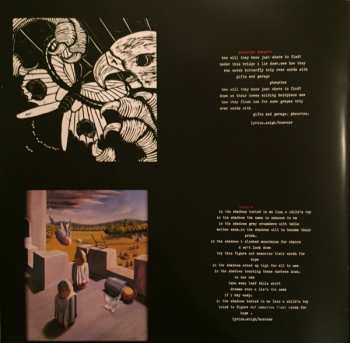 2LP Sunny Day Real Estate: Diary