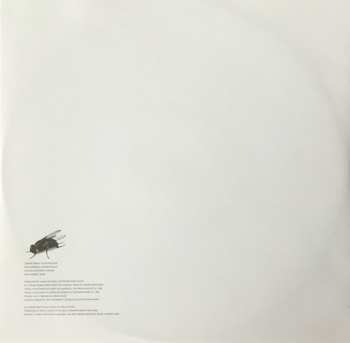 2LP Sunny Day Real Estate: LP2