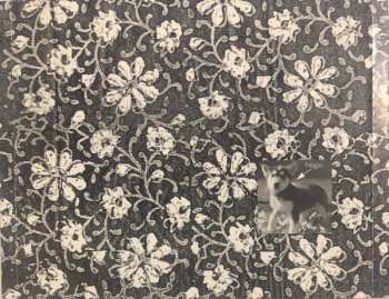 CD Susan Voelz: Summer Crashing