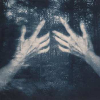 LP Susana Santos Silva: All The Birds And A Telephone Ringing