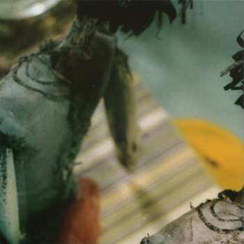 CD Suzzy Roche: Why The Long Face