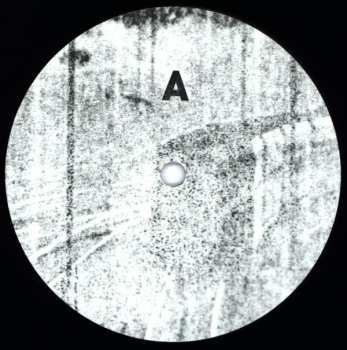 LP Sweeps 04: Dormancy