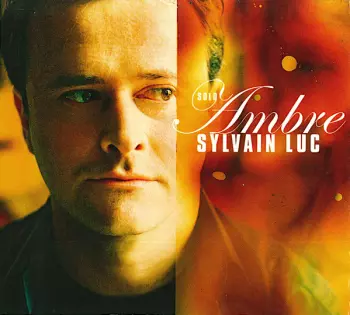 Sylvain Luc: Solo Ambre