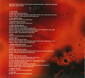 CD Sylvain Luc: Solo Ambre