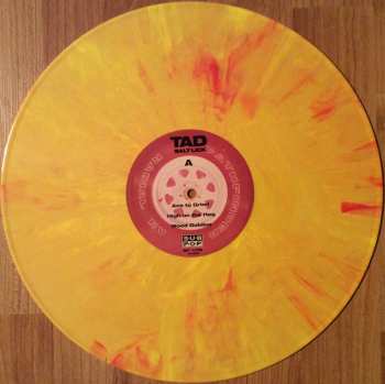 LP Tad: Salt Lick LTD | DLX | CLR