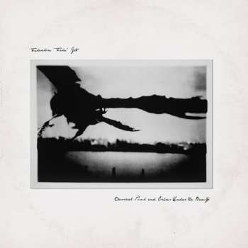CD Takaakira Goto: Classical Punk And Echoes Under The Beauty