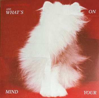 Album Talking To Turtles: And What's On Your Mind