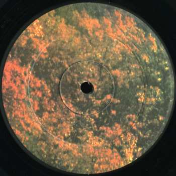 2LP Tame Impala: Innerspeaker