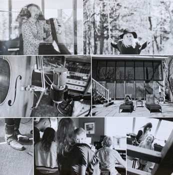 LP Tanya Donelly: Tanya Donelly And The Parkington Sisters CLR | LTD