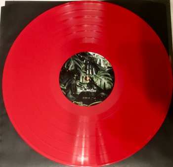 LP Tautumeitas: Tautumeitas