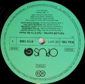 LP Taylor Dayne: Tell It To My Heart