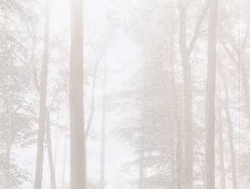 CD Taylor Swift: Folklore DLX