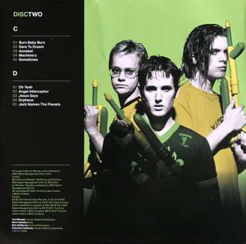 2LP Ash: Teenage Wildlife: 25 Years Of Ash