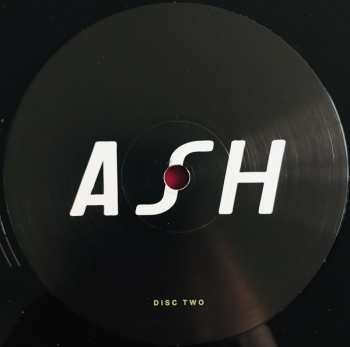 2LP Ash: Teenage Wildlife: 25 Years Of Ash