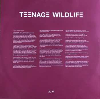 2LP Ash: Teenage Wildlife: 25 Years Of Ash