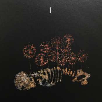 3LP Tenhi: Folk Aesthetic 1996-2006 LTD