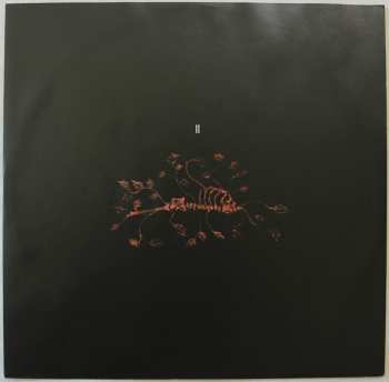 3LP Tenhi: Folk Aesthetic 1996-2006 LTD