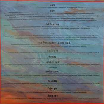 LP Terrible Signal: The Window LTD