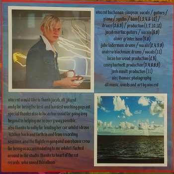 LP Terrible Signal: The Window LTD