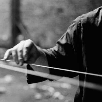 Album Terry Fox: Linkage