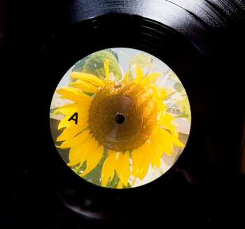 LP Tess Parks: And Those Who Were Seen Dancing DLX