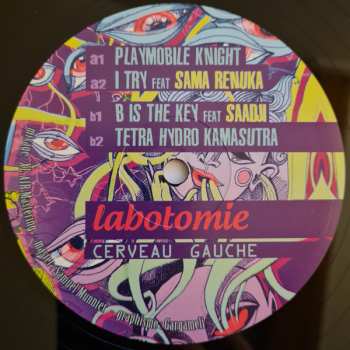 2LP Tetra Hydro K: Labotomie