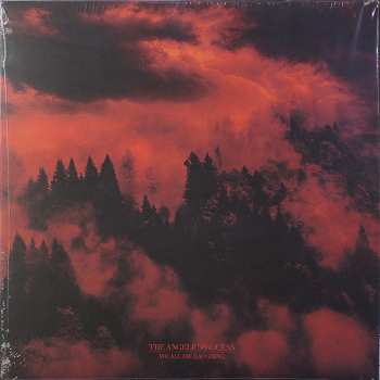 6LP/Box Set The Angelic Process: We All Die Laughing DLX | LTD