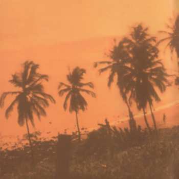 CD The Beach Boys: Love You