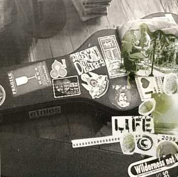 CD The Beautiful Girls: Learn Yourself DIGI