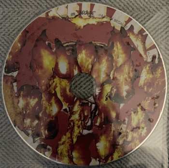 2LP/CD The Beta Band: Hot Shots II CLR | LTD