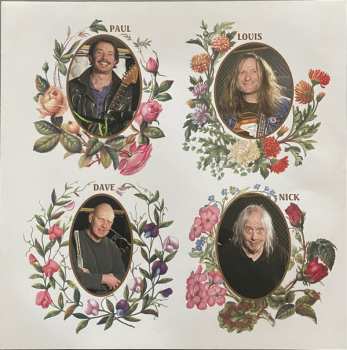2LP The Bevis Frond: Focus On Nature CLR | LTD