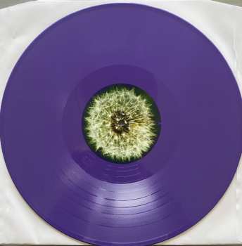 2LP The Bevis Frond: Focus On Nature CLR | LTD