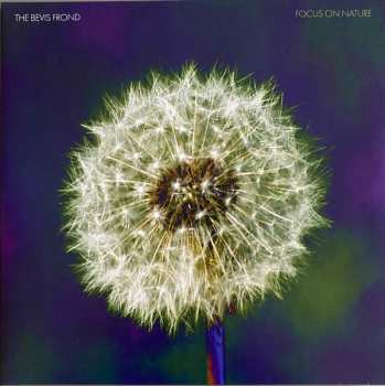 2LP The Bevis Frond: Focus On Nature CLR | LTD