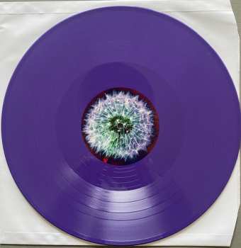 2LP The Bevis Frond: Focus On Nature CLR | LTD