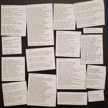 2LP The Bevis Frond: Sprawl