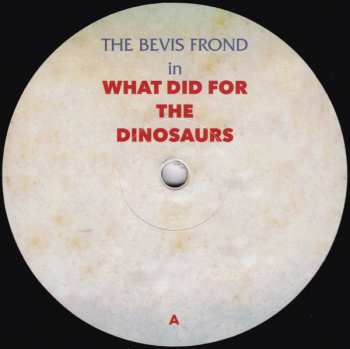 2LP The Bevis Frond: What Did For The Dinosaurs