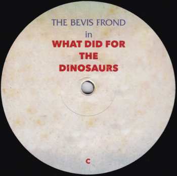 2LP The Bevis Frond: What Did For The Dinosaurs