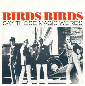 5SP/Box Set The Birds: The Birds Ride Again LTD