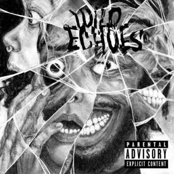 CD The Black Creatures: Wild Echoes