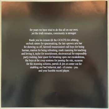 LP The Black Creatures: Wild Echoes