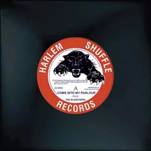 The Bleechers: 7-come Into My Parlour / Check Him Out
