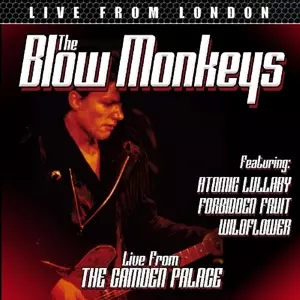 The Blow Monkeys: Live From London