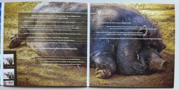 2LP The Bolshoi: Country Life CLR