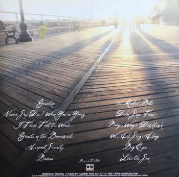 LP The Bouncing Souls: Ghosts On The Boardwalk LTD | CLR