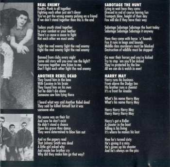 CD The Business: Suburban Rebels