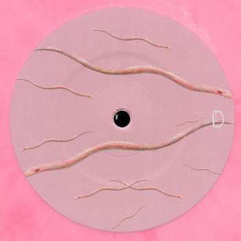 2LP/CD The Chameleons: Live At The Camden Palace LTD | CLR